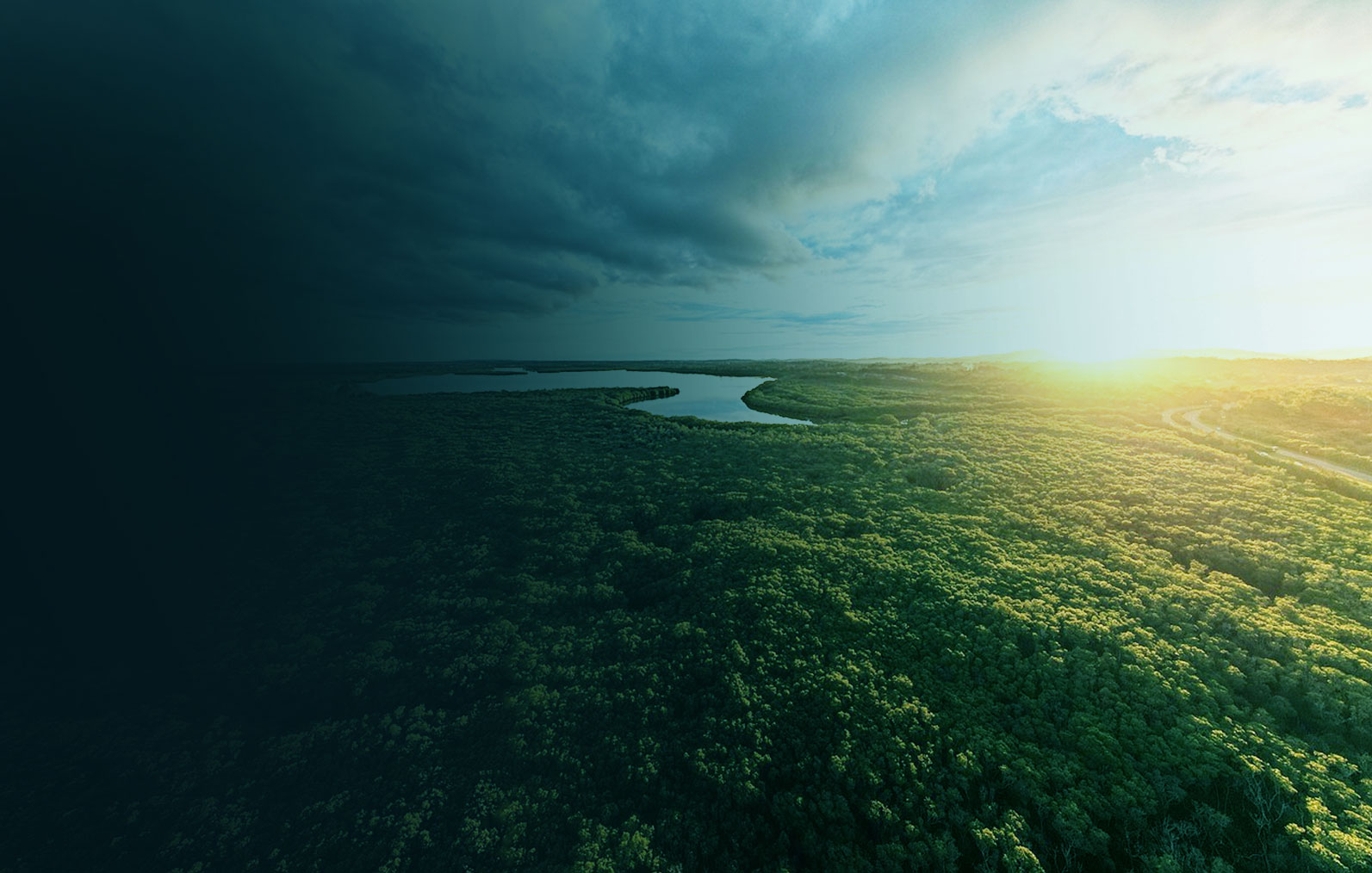 Trig Energy environmental services